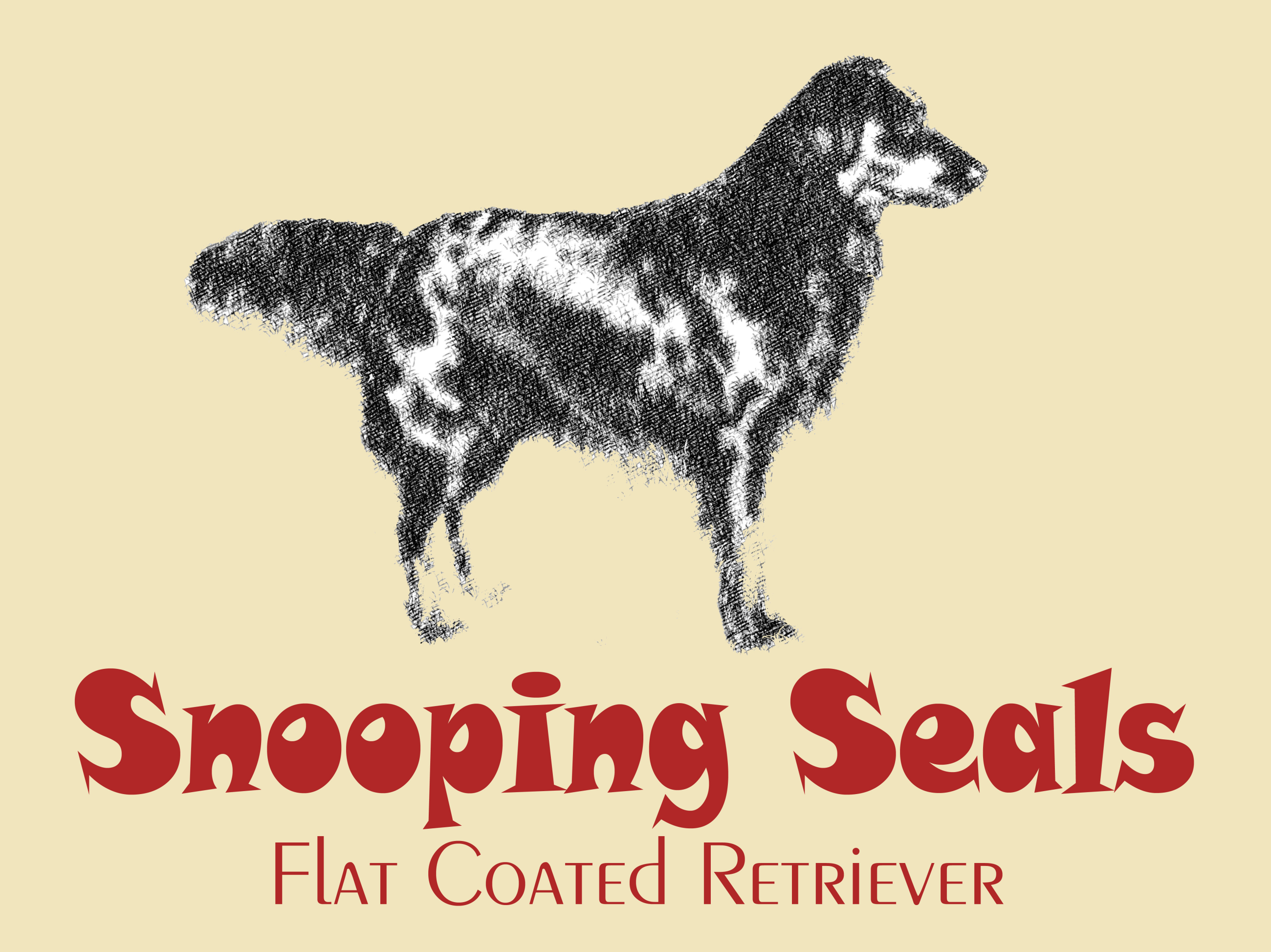 Flat Coated Retriever Kaufen In Nordrhein Westfalen Snautz De